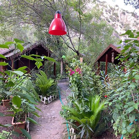 Canario Bungalows Чирали Екстериор снимка