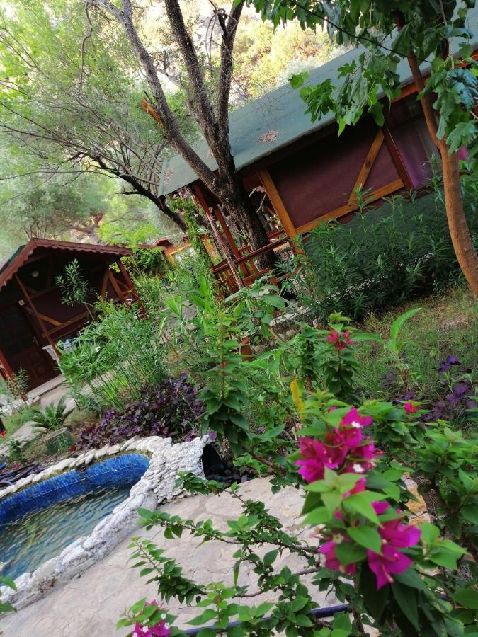 Canario Bungalows Чирали Екстериор снимка