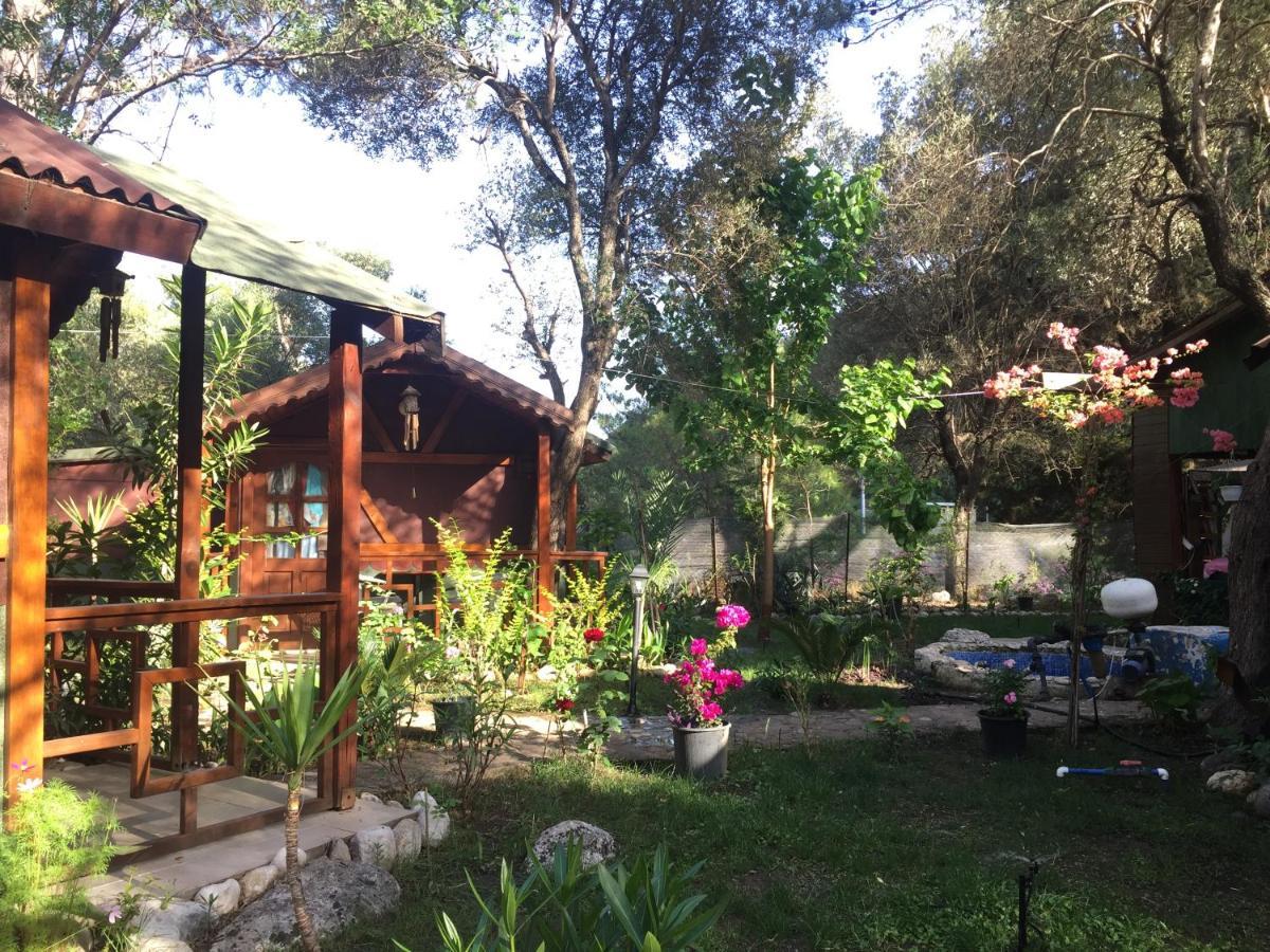 Canario Bungalows Чирали Екстериор снимка