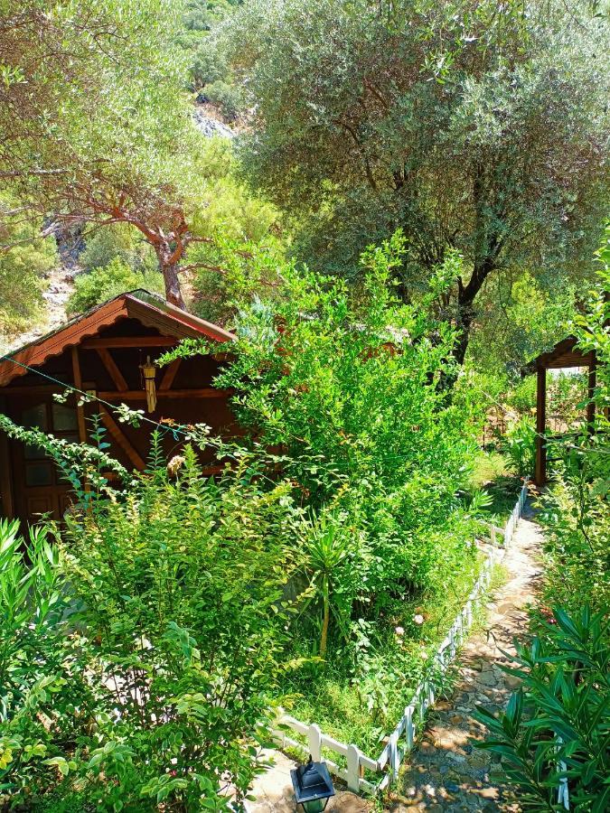 Canario Bungalows Чирали Екстериор снимка