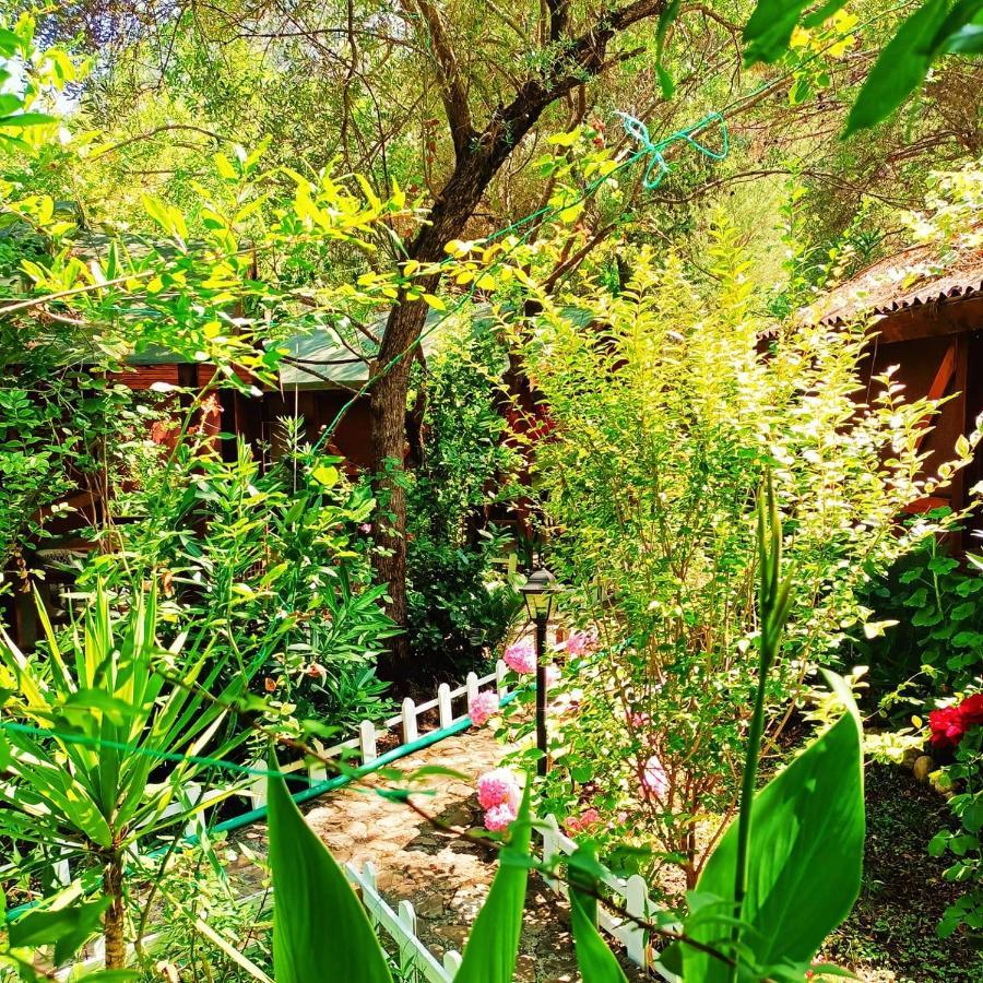 Canario Bungalows Чирали Екстериор снимка