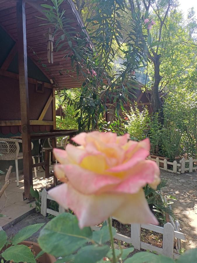 Canario Bungalows Чирали Екстериор снимка