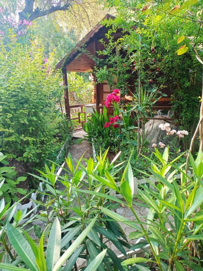 Canario Bungalows Чирали Екстериор снимка