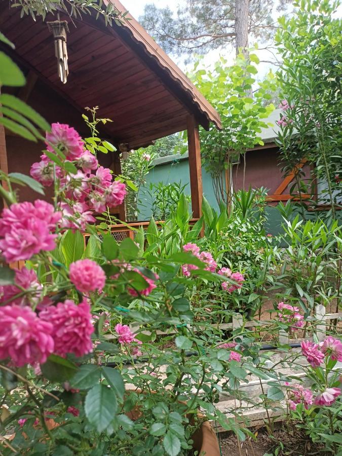 Canario Bungalows Чирали Екстериор снимка