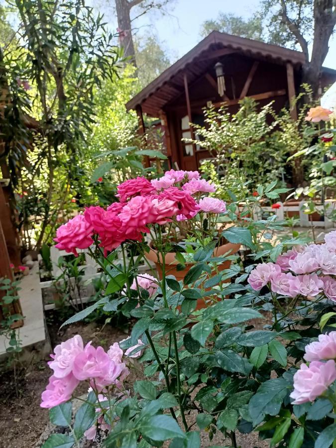 Canario Bungalows Чирали Екстериор снимка