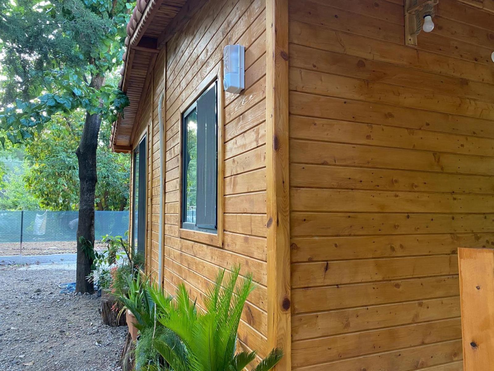 Canario Bungalows Чирали Екстериор снимка
