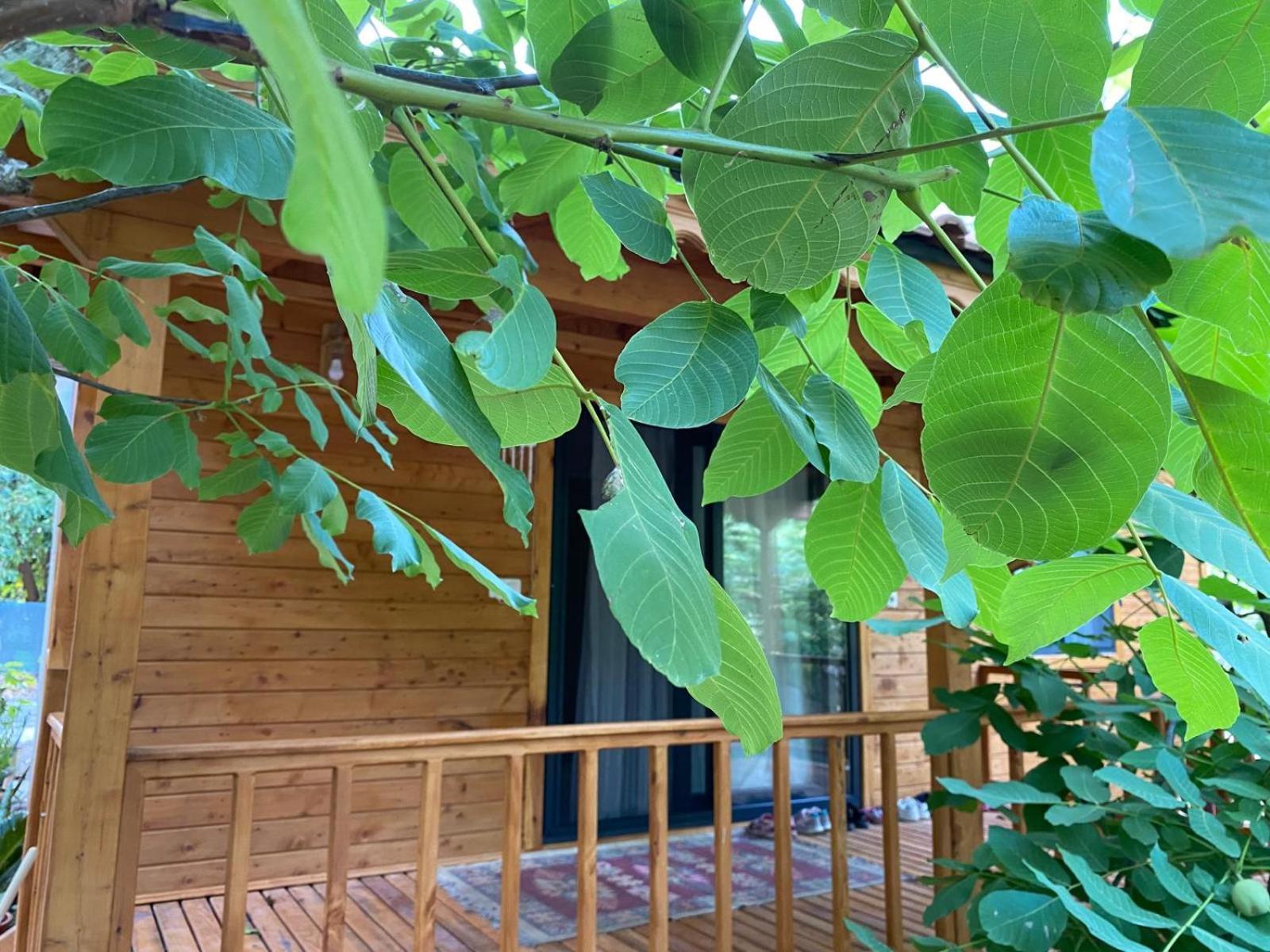 Canario Bungalows Чирали Екстериор снимка