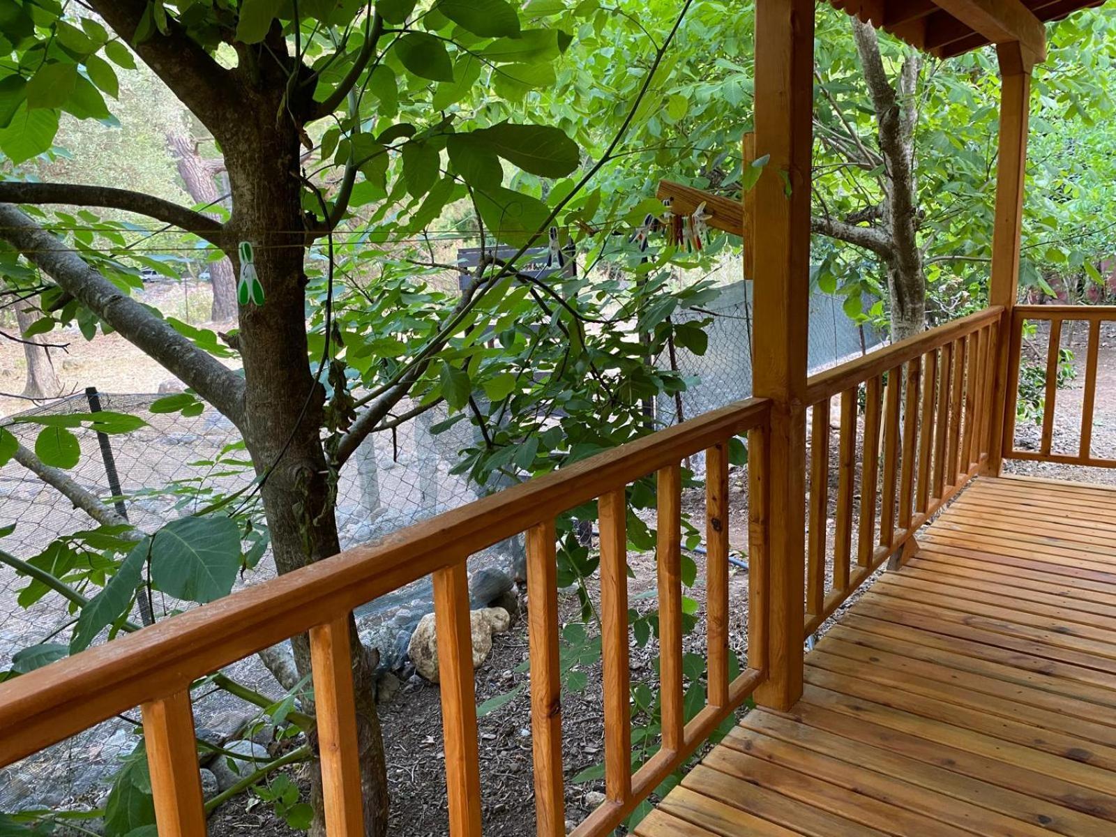 Canario Bungalows Чирали Екстериор снимка